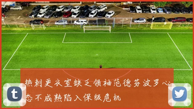 热刺更衣室缺乏领袖范德芬波罗心态不成熟陷入保级危机