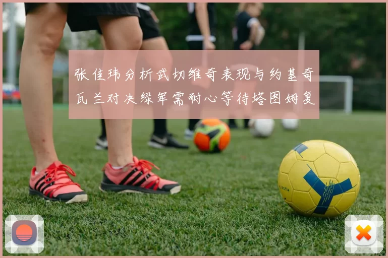 张佳玮分析武切维奇表现与约基奇瓦兰对决绿军需耐心等待塔图姆复出