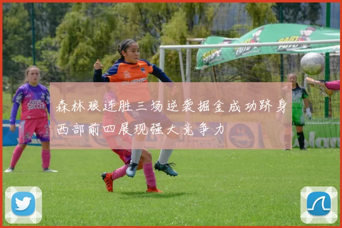 森林狼连胜三场逆袭掘金成功跻身西部前四展现强大竞争力